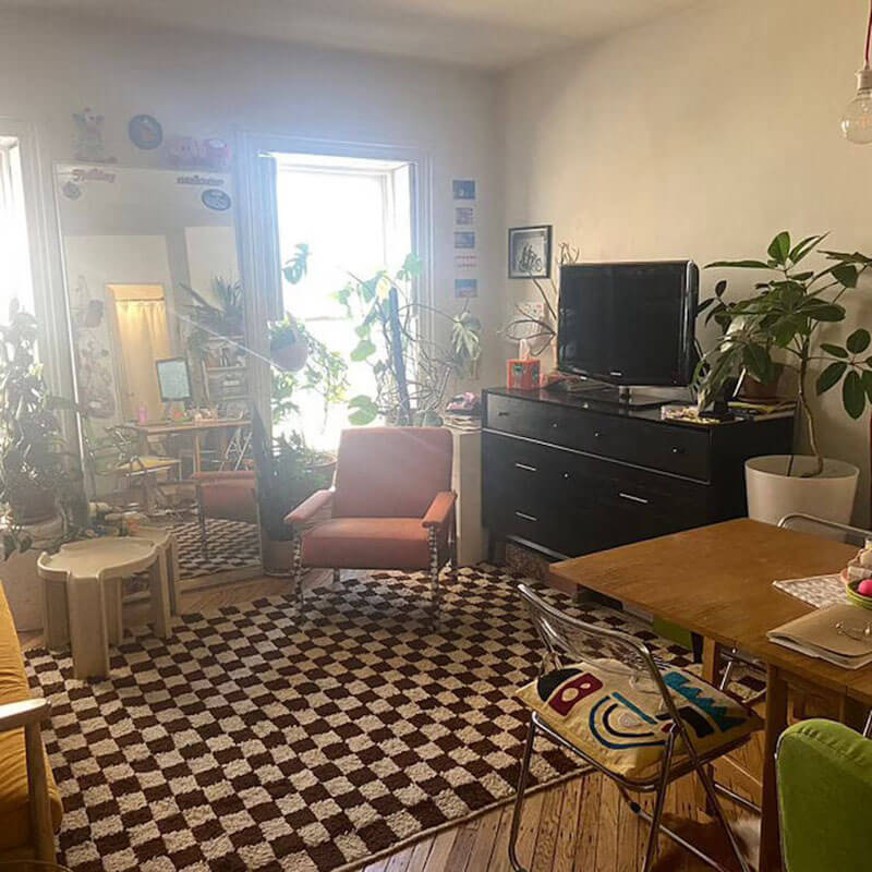 Checkered Rug,Checkers Rugs